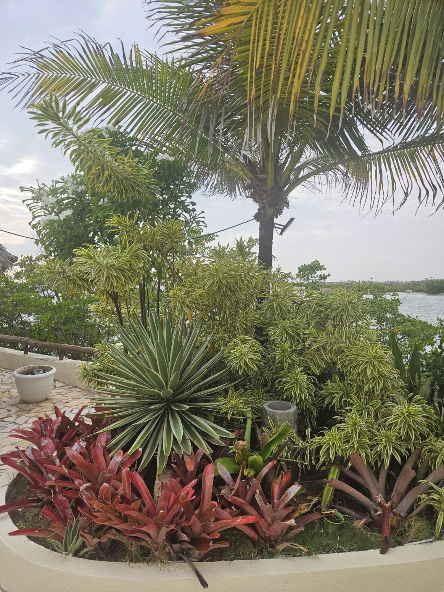 Malie Hotel Águas Belas Buitenkant foto